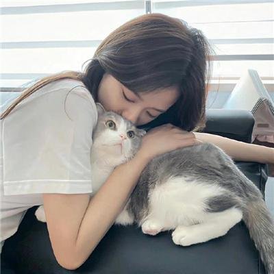 傻佬三人组